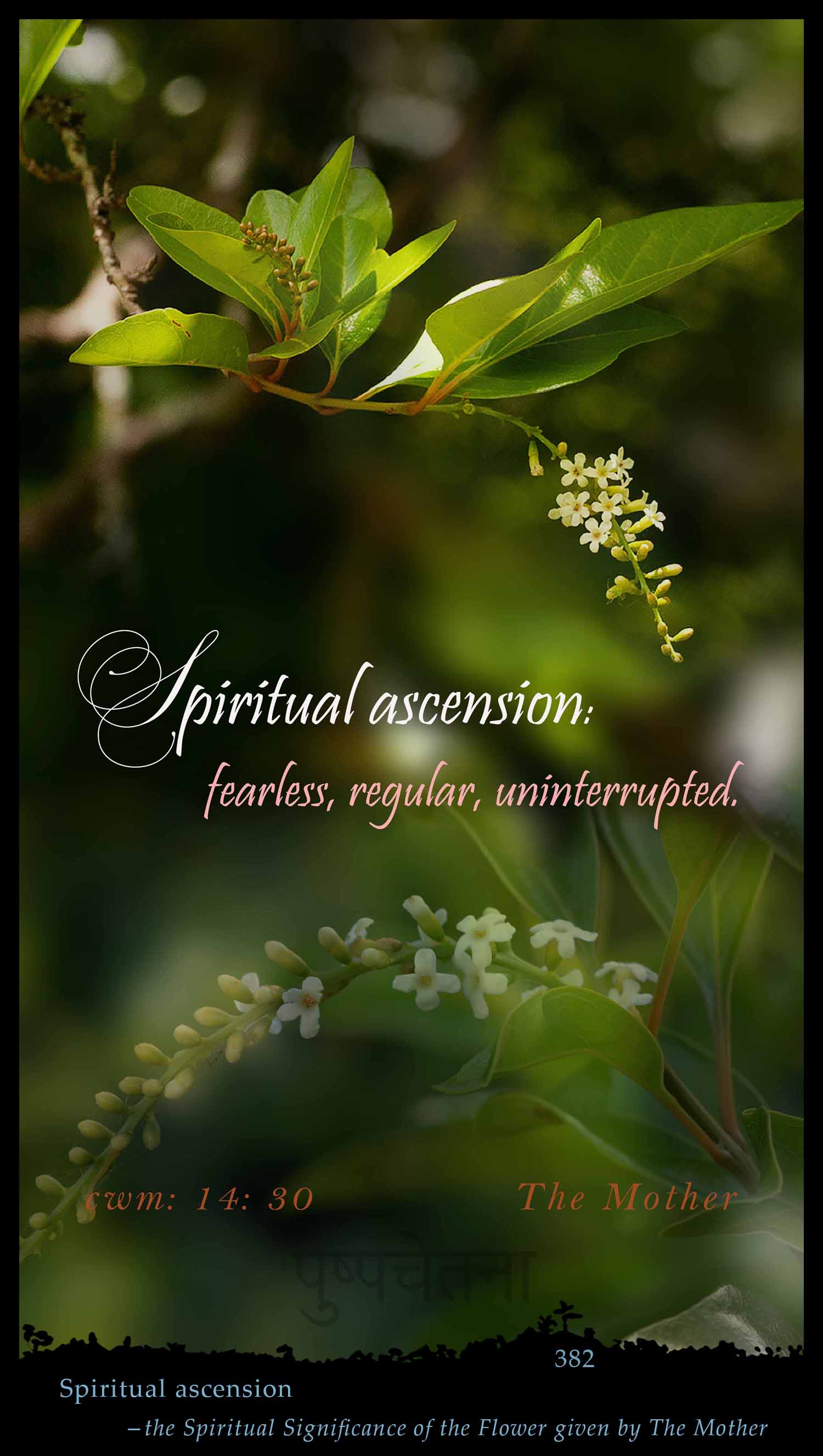 Spiritual Ascension